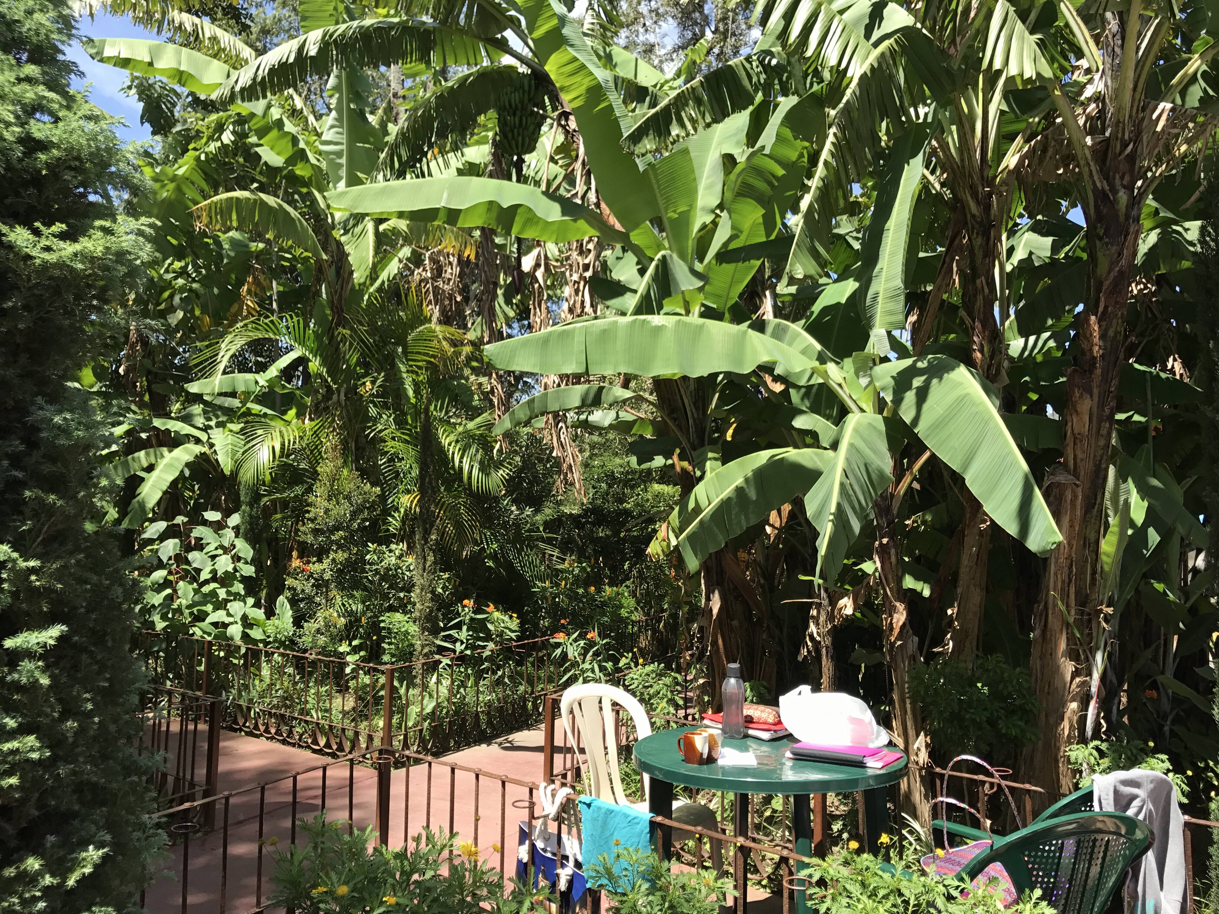 The beautiful garden setting for Spanish class